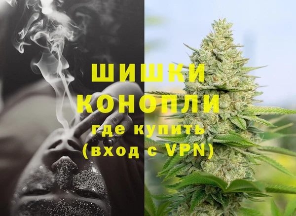 твердый Богданович