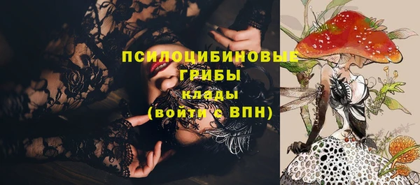 2c-b Строитель