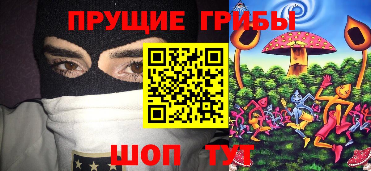 Галлюциногенные грибы Magic Shrooms Воскресенск